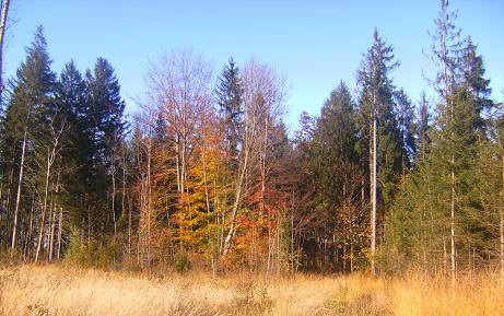 Herbst 2008